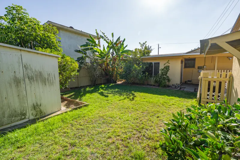 Backyard lawn with shed and fruit trees